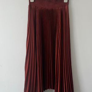 Pleated Skirt